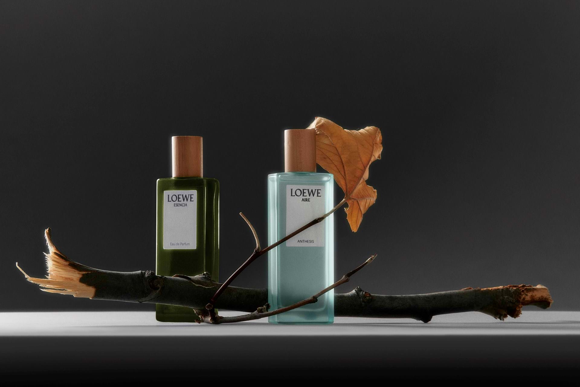 Hinh anh 7: Nuoc Hoa Loewe: Hon Ca Mot Mui Huong