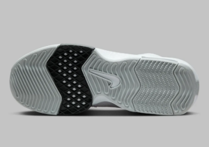 Giay Nike LeBron Witness 8 'White Smoke Grey' FB2239-100