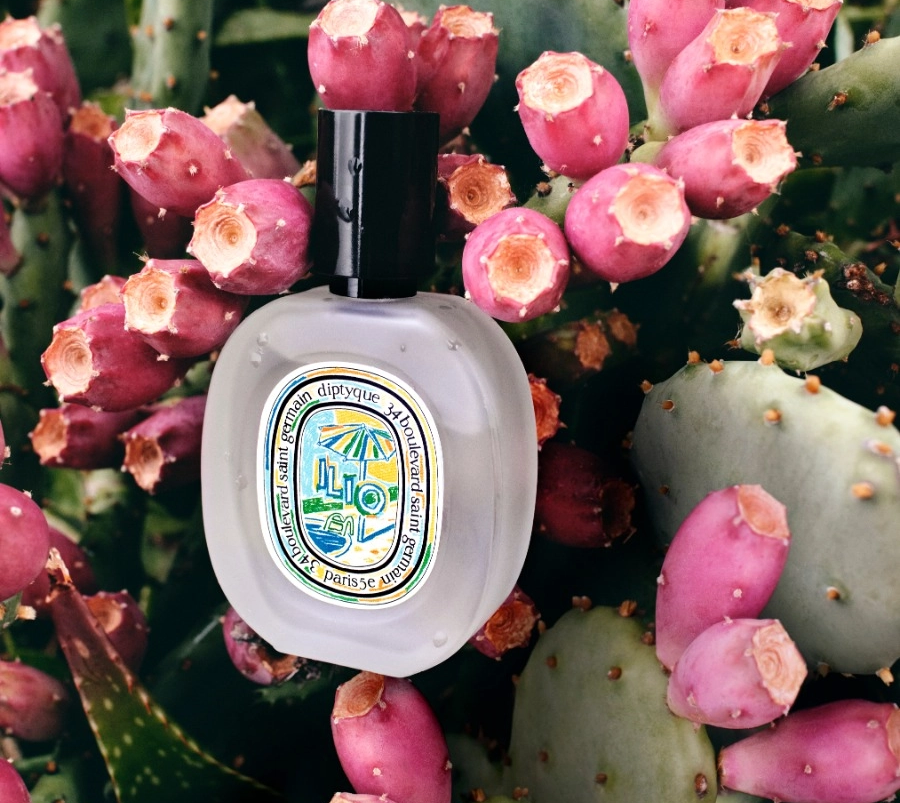 Diptyque Summer 2024: Khúc hoan ca mùa hè đầy thi vị Hinh anh 6: Diptyque Summer 2024: Khuc hoan ca mua he day thi vi