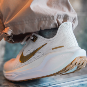 Giay Nike Air Zoom Pegasus 41 'Light Metallic Gold' FD2723-005