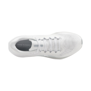 Giay Nike Air Zoom Pegasus 41 'Pure Platinum' FD2722-102