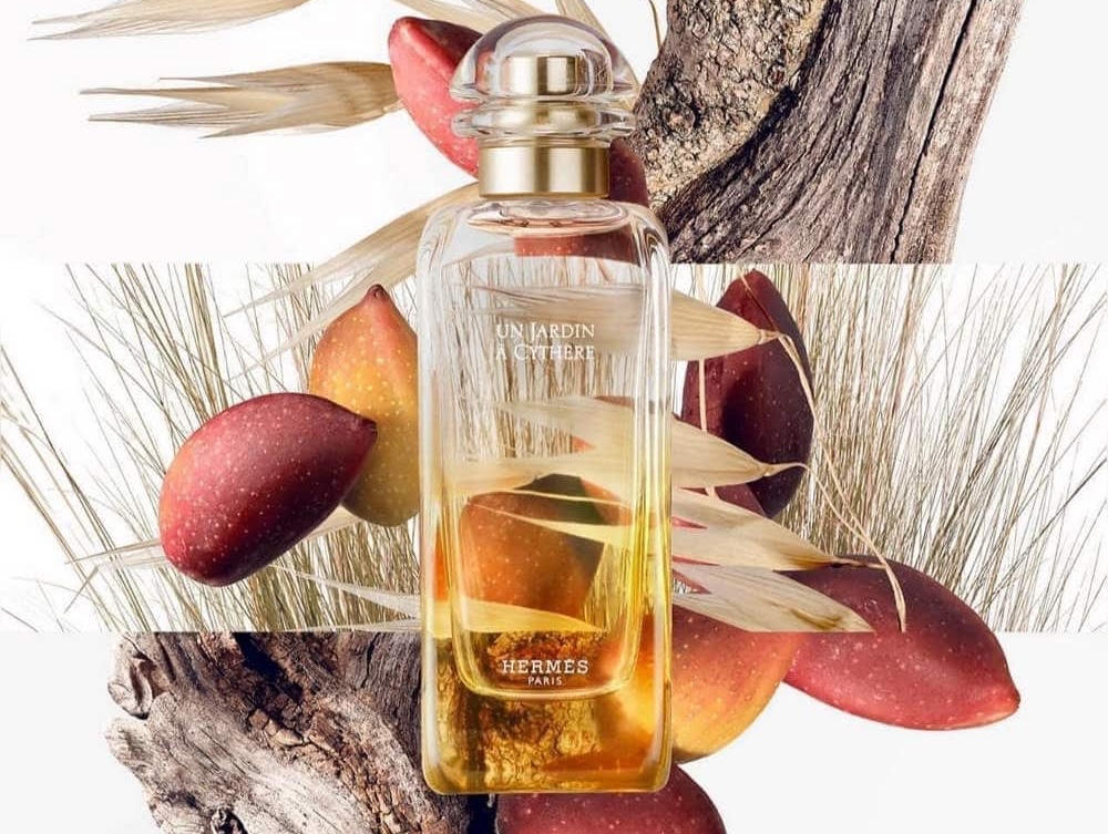 Sữa Tắm Xa Xỉ - Nâng Tầm Trải Nghiệm Chăm Sóc Da Hinh anh 2: Sua Tam Xa Xi - Nang Tam Trai Nghiem Cham Soc Da