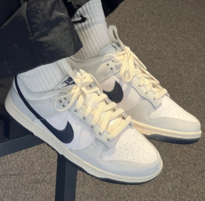 Giay Nike Dunk Low Next Nature 'Photon Dust Obsidian' HF4299-001