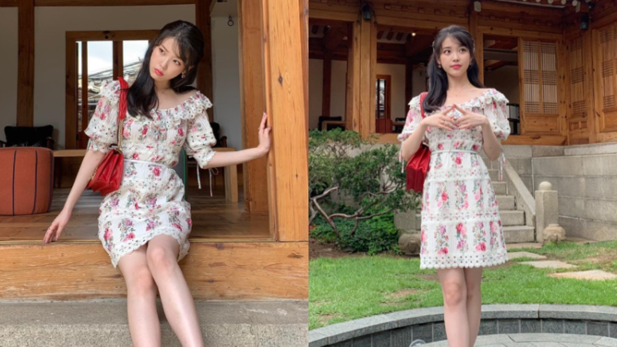 Hinh anh 8: "Nang tho" IU sang chanh ngut ngan voi BST tui hieu "khung"