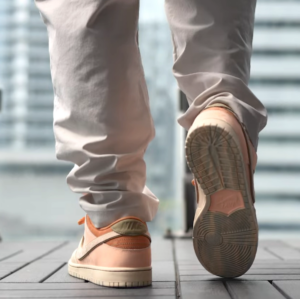 Giay Nike Dunk Low SB 'Trocadero Gardens' FV5926-200