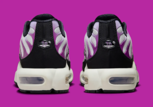 Giay Nike Air Max Plus 'White Lilac Bloom' FN6949-100