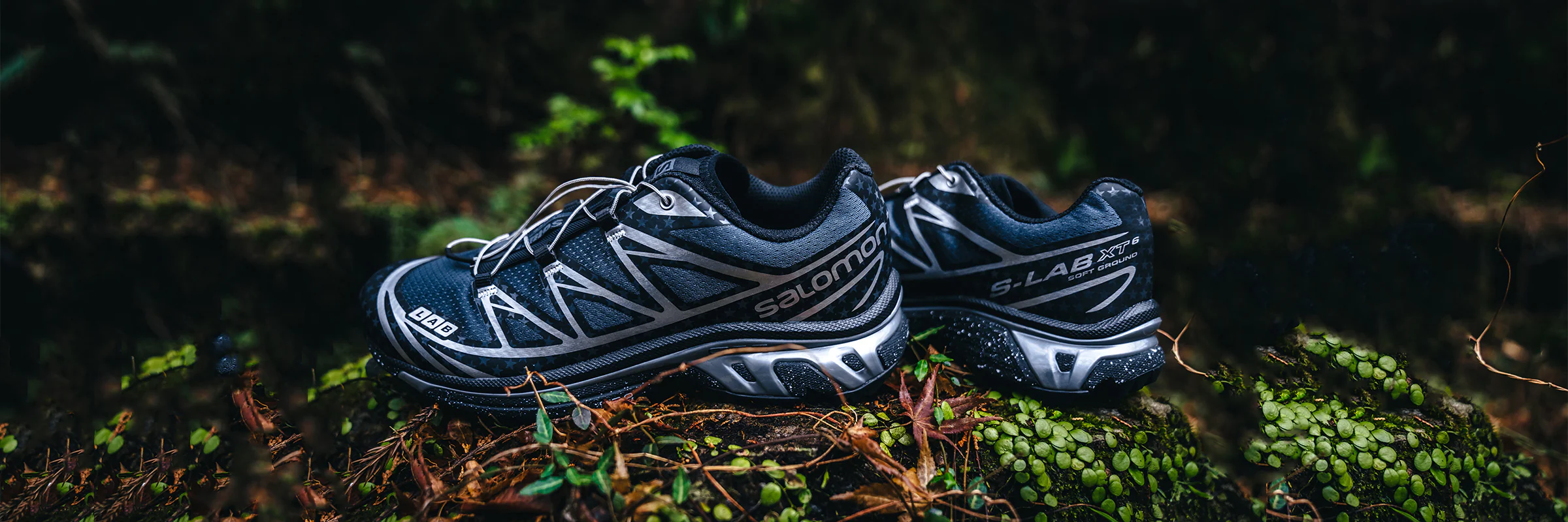 Lịch sử hình thành và phát triển của Salomon Hinh anh 3: Lich su hinh thanh va phat trien cua Salomon