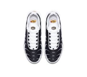 Giay Nike Air Max Plus 'Black White' CT1094‑102