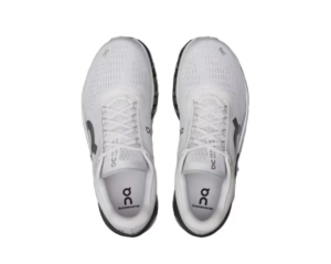 Giay On Running Cloudmonster 2 'Frost Rock' 3ME10122564