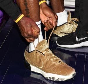 Giay Nike LeBron 21 x The Shop 'Nobility' FZ7883-700