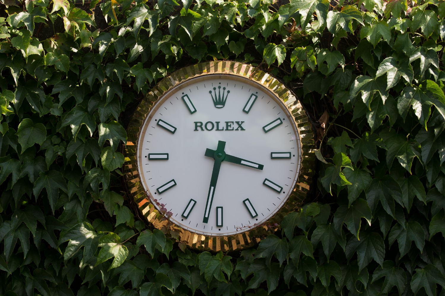 Hinh anh 1: Rolex va Wimbledon: Moi Quan He Vang Son Cua The Thao The Gioi