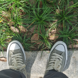 Giay Converse Chuck Taylor x N.HOOLYWOOD 'Brown White' 1CL883