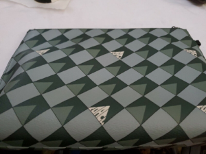 Tui Coach Carryall Pouch With Check Geo 'Green' 2747-QBTE