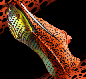 Giay Nike Maxfly 2 'Electric Pack' FV2322-900