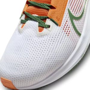 Giay Nike Air Zoom Pegasus 40 'Florida A&M University' DZ5941-100