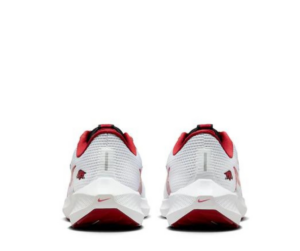 Giay Nike Air Zoom Pegasus 40 'Arkansas' DZ5991-100