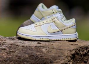 Giay Nike Dunk Low Next Nature 'Alabaster' DD1873-106