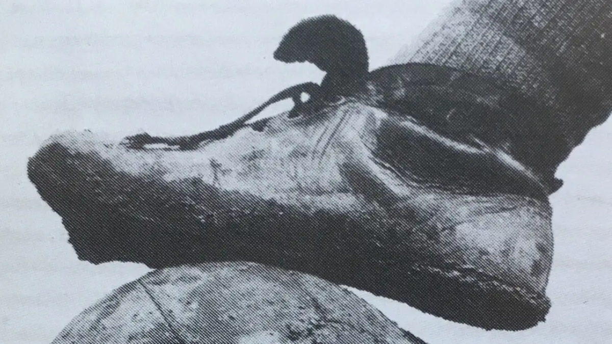 Hành trình của những đôi giày bóng đá định hình lịch sử (Phần 1) Hinh anh 2: Hanh trinh cua nhung doi giay bong da dinh hinh lich su (Phan 1)