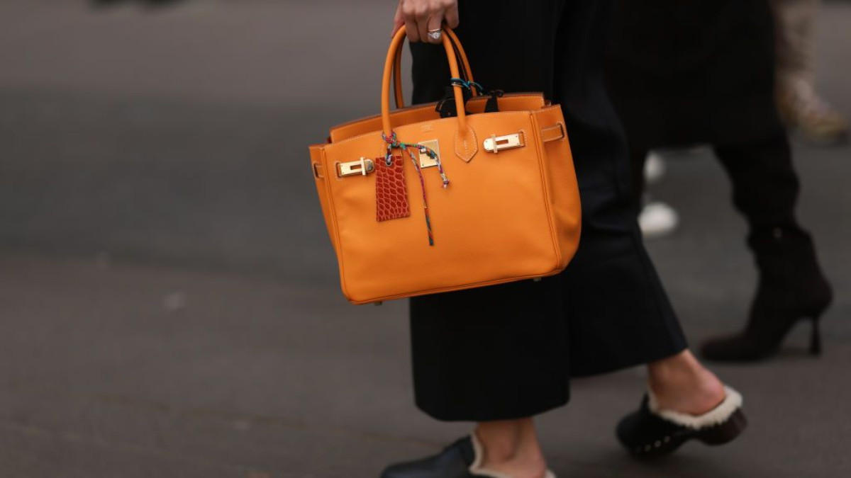 Sưu tầm túi Birkin: Hướng dẫn chi tiết cho người mới bắt đầu Hinh anh 3: Suu tam tui Birkin: Huong dan chi tiet cho nguoi moi bat dau