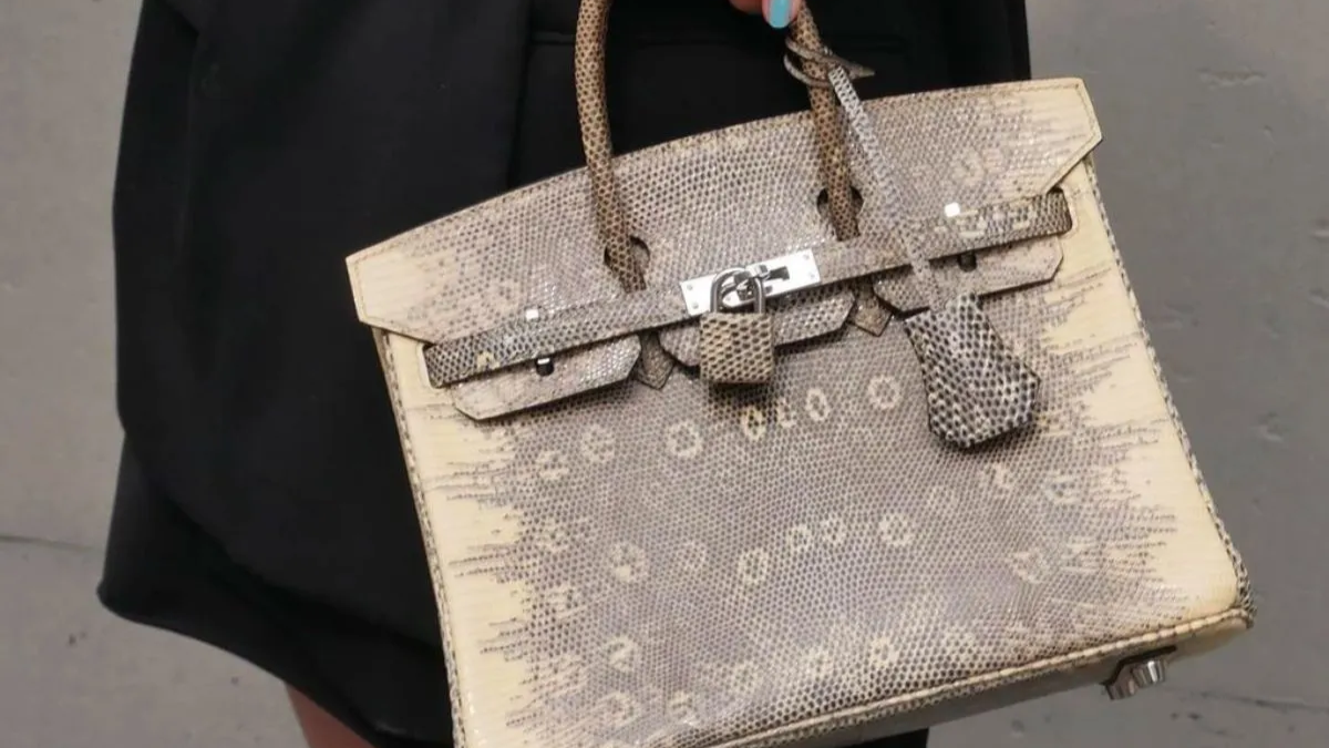 Sưu tầm túi Birkin: Hướng dẫn chi tiết cho người mới bắt đầu Hinh anh 12: Suu tam tui Birkin: Huong dan chi tiet cho nguoi moi bat dau