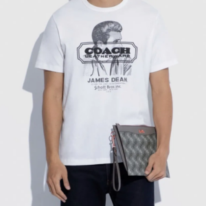 Tui Coach Hitch Pouch With Horse And Carriage Print 'Grey' 4903-GRY