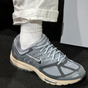 Giay Nike Air Pegasus 2K5 'Light Pumice' HQ1173-001