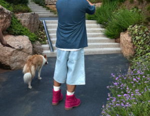 Giay Timberland 6 Inch Premium 'Hot Pink' A5VHDW