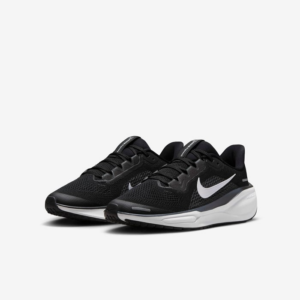 Giay Nike Air Zoom Pegasus 41 'Black Anthracite White' FN5041-001