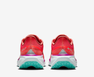 Giay Nike Air Zoom Pegasus 41 Gore-Tex 'Picante Red' HM8872-600