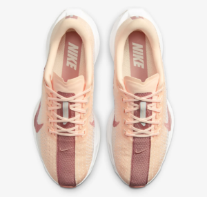 Giay Nike Air Pegasus Plus 'Tint Red Stardust' FQ7261-800