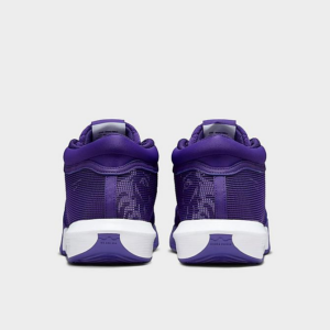 Giay Nike LeBron Witness 8 TB 'Field Purple' FB9944-500