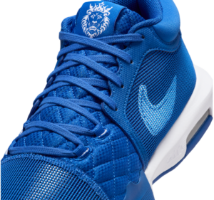 Giay Nike LeBron Witness 8 TB 'Game Royal' FB9944-401