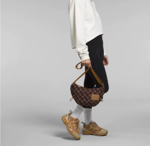 Tui The North Face Never Stop 'Brown' NF0A81DS-OS2