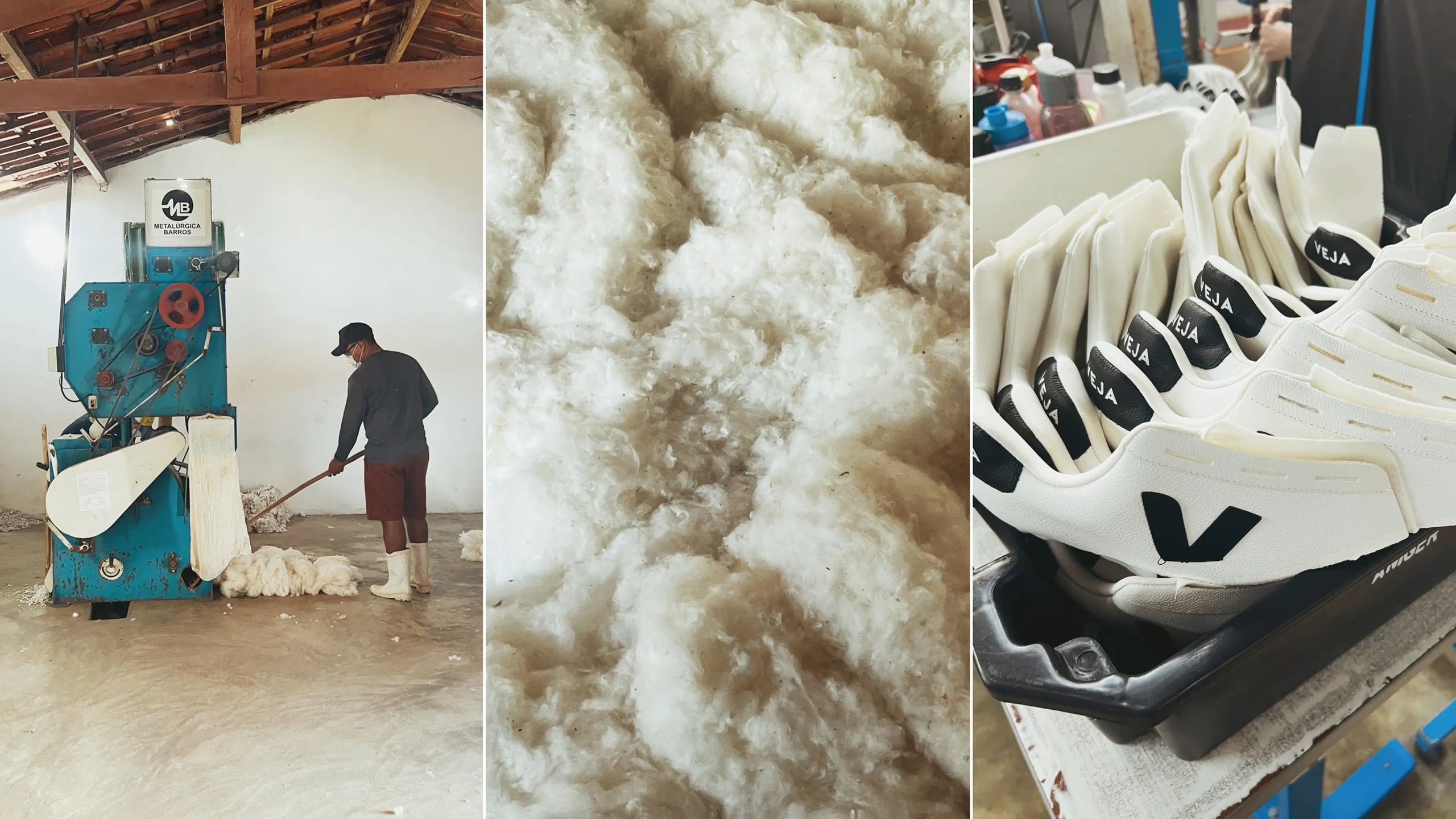 Veja và chiến lược đánh chiếm thị trường Châu Âu Hinh anh 3: Veja va chien luoc danh chiem thi truong Chau Au