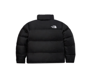 Ao The North Face Eco Nuptse 'Black' NJ1DP75A