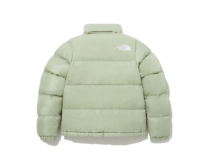 Ao The North Face On Ball Jacket 'Green' NJ3NP85E