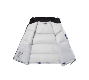 Ao The North Face Nuptse Down Vest 'Multi Color' NV1DN51J