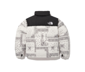 Ao The North Face 1996 Nuptse Zipper Stand 'White' NJ1DN76B