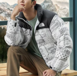 Ao The North Face 1996 Nuptse Zipper Stand 'White' NJ1DN76B