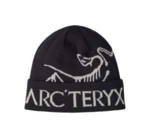 Mu Arcteryx Bird Word Toque 'Black Void' X000006644-BLACK VOID