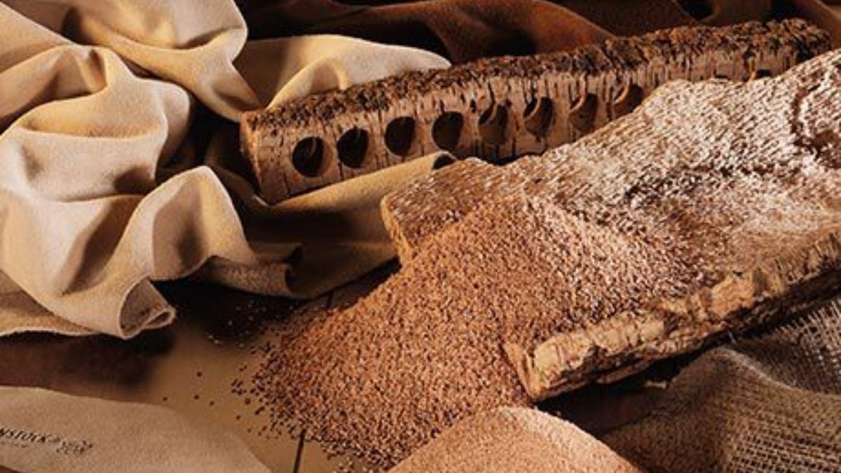 Birkenstock đã đóng góp thế nào vào môi trường bền vững? Hinh anh 4: Birkenstock da dong gop the nao vao moi truong ben vung?