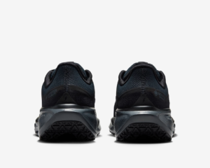 Giay Nike Air Zoom Pegasus 41 'Black' FQ1357-001