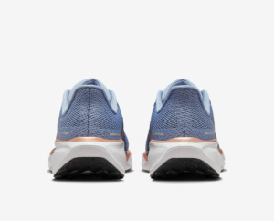 Giay Nike Air Zoom Pegasus 41 'Ashen Slate' FD2723-403