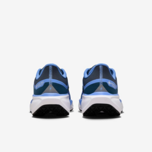 Giay Nike Air Zoom Pegasus 41 Gore-Tex 'Cobalt' FQ1357-400