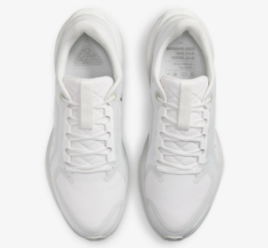 Giay Nike Air Zoom Pegasus 41 Gore-Tex 'Photon Dust' FQ1356-101