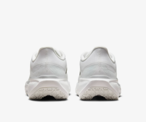 Giay Nike Air Zoom Pegasus 41 Gore-Tex 'Photon Dust' FQ1356-101