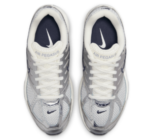 Giay Nike Air Pegasus 2K5 'Chrome' HJ7310-025