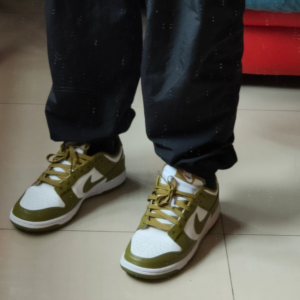 Giay Nike Dunk Low GS 'Pacific Moss' FB9109-108