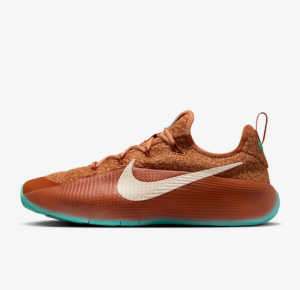 Giay Nike LeBron TR 1 'Better With Age' FJ6151-200