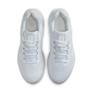 Giay Nike Air Winflo 11 'White Photon Dust' FJ9509-100